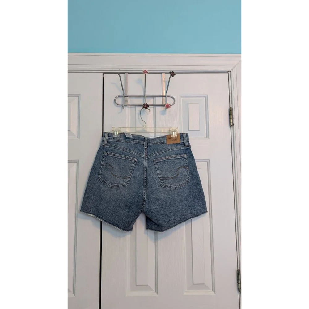 Women's Levi's Denim Shorts, Size 10, Blue